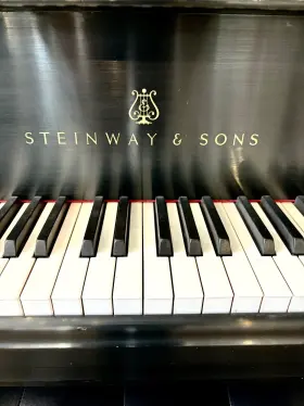 492699 STEINWAY SONS Piano Ebony #2