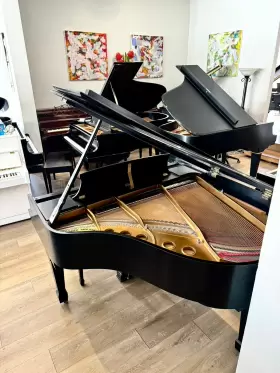 519000 STEINWAY SONS Baby Piano Ebony #3