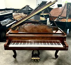 537846 STEINWAY SONS Polish Piano