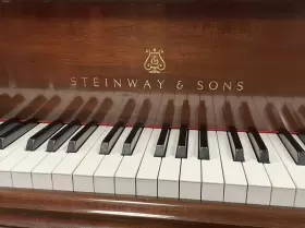 538953 STEINWAY SONS Chippendale Piano Picarzo Mahogany #3