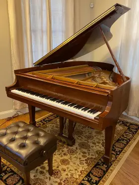 571793 STEINWAY SONS Piano Crown Jewel Humidity Control