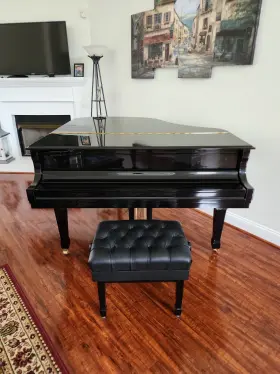 EGP-155C STEINWAY SONS Essex Baby Piano Qrs Pnomation Player #2
