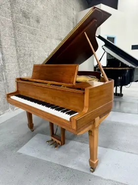451507 STORY CLARK Baby Piano