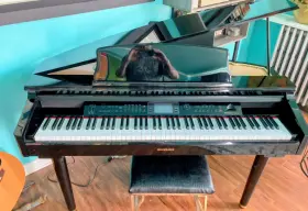MDG-300 SUZUKI Electric Baby Piano