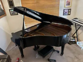 069364 WEBER Baby Piano Ramona Accepting