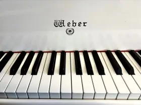 081619 WEBER Baby Piano #2