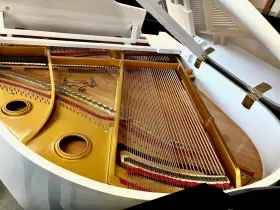 081619 WEBER Baby Piano #3