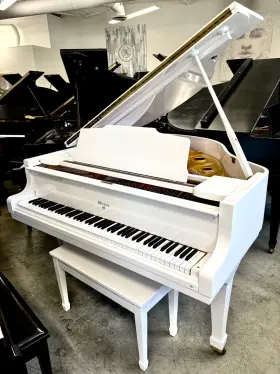 081619 WEBER Baby Piano