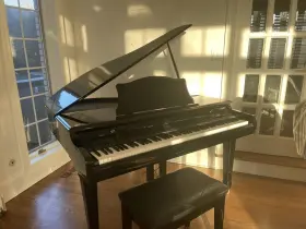 WDG-960 WEBER Baby Electric Piano