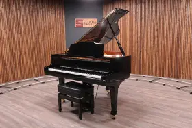 WG-157 WEBER Baby Piano Ebony Spruce Pro Plate