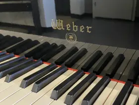 WG-57 WEBER Baby #3
