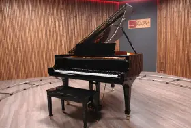 WG-60 WEBER Piano Ebony Spruce Pro Young Chang