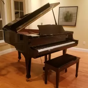 WG51 WEBER Baby Piano Ebony Rarely #2