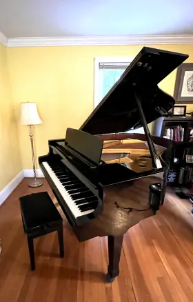 Weinbach Manufactured By Petrof 264572 Grand Piano In The Czech Republic Late 1990s
