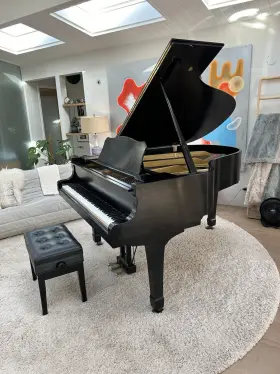 1963128 YAMAHA Conservatory Handmade #2
