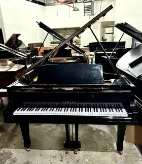 Yamaha 335342 No.g3 Grand Piano 6ft1 Inch Polished Ebony