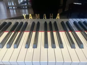 3640748 YAMAHA Semi Concert Piano Ebony #3