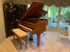 407380 YAMAHA Light Piano