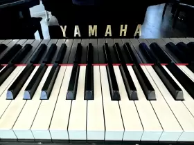 4633122 YAMAHA Piano Ebony #2