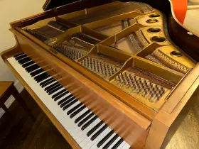 Yamaha 479830 Baby Grand Piano- Used