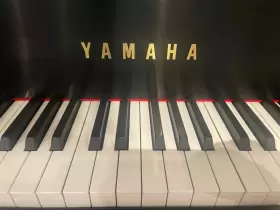 4930768 YAMAHA Baby Piano Ebony #3