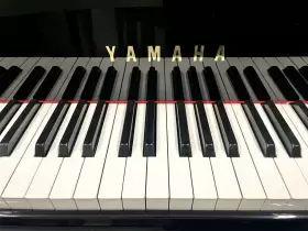 5271615 YAMAHA Piano Ebony #2