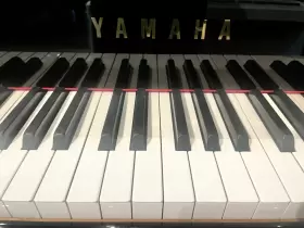 5281926 YAMAHA Baby Piano Ebony #3