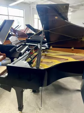 5291157 YAMAHA Disklavier Piano Ebony #2
