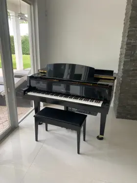 5301663 YAMAHA Baby Piano Dghi Disklavier