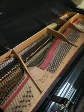 5397064 YAMAHA Baby Piano #2