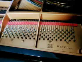 5397064 YAMAHA Baby Piano #3