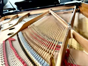 5564441 YAMAHA Disklavier Piano Player Ebony #3