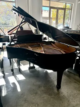 5595479 YAMAHA Piano Ebony #2