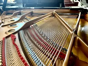 5595479 YAMAHA Piano Ebony #3