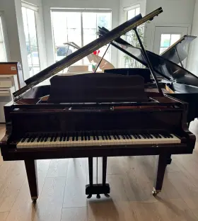 5825618 YAMAHA Baby Piano