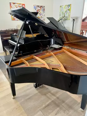 5942731 YAMAHA Baby Piano Ebony #2
