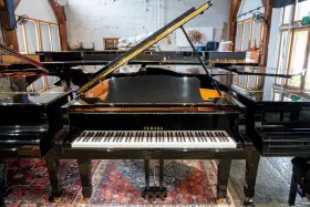 5946589 YAMAHA Piano