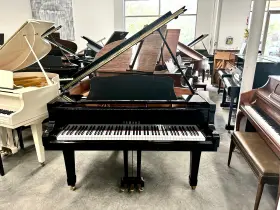 5947562 YAMAHA Ebony Polish