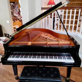 5996036 YAMAHA Baby Piano Ebony