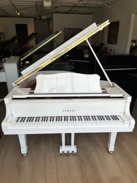 Yamaha 6045147 C1 Grand Piano With Pianodisc Iq Player System 5ft3 Inch Polished White