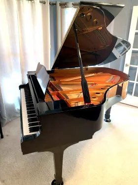 6084438 YAMAHA Piano Ebony Polish #2