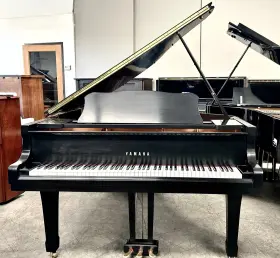 6154016 YAMAHA Ebony