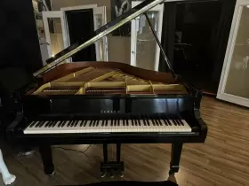 B167 YAMAHA Baby Piano #2