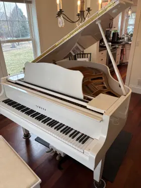 Yamaha B5581374 Gc1 Baby Grand Piano In Polished White