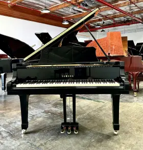 Yamaha D3990920 C5 Grand Piano 6ft7 Inch Polished Ebony