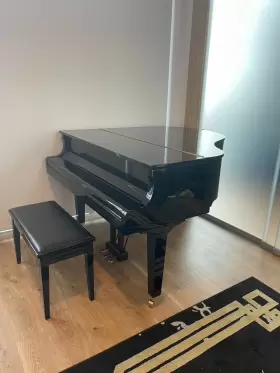 DGB1K-ENST YAMAHA Disklavier Piano Must #2