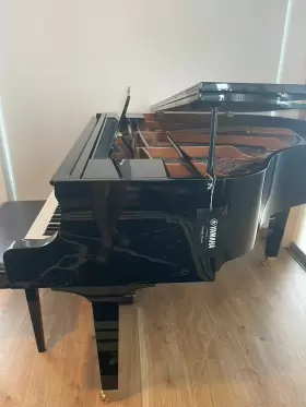 DGB1K-ENST YAMAHA Disklavier Piano Must #3