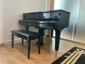 DGB1K-ENST YAMAHA Disklavier Piano Must