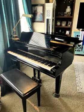 DGC1M4 YAMAHA Baby Piano Ebony