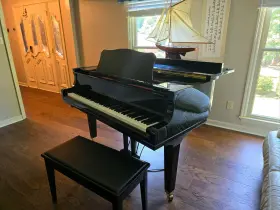 DGC2 YAMAHA Piano Mahogany Enst